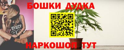 крисы Будённовск