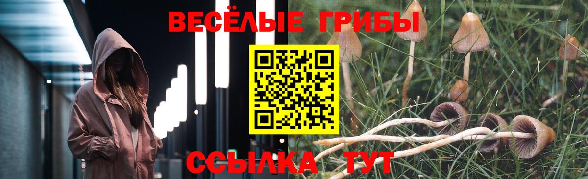 Псилоцибиновые грибы MAGIC MUSHROOMS Троицк